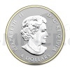 2014 - Kanada - Exkluzivn sada stbrnch minc  Silver Fractional Set Maple Leaf - proof (Obr. 2)