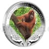 2011 - Tuvalu 1 $ - Wildlife in Need - Orangutan - proof (Obr. 3)