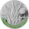 2014 - Armenia 400 AMD The Oldest Trees of the World - Proof (Obr. 5)
