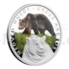 2016 - Niue 1 NZD Silver Coin Brown Bear - Proof (Obr. 3)