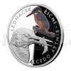 Silver coin River kingfisher - proof (Obr. 1)