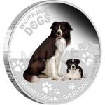 Animals and Plants 2011 - Australia 1 AUD Working Dogs - Border Collie 1oz Silver Coin - Proof