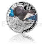 Animals and Plants 2013 - Niue 1 NZD Silver Coin European otter - proof
