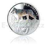 Zahrani 2014 - Niue 1 NZD Stbrn mince Ohroen proda - Vlk obecn - proof