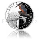 Silver coin River kingfisher - proof