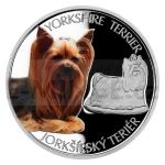 Tschechien & Slowakei 2021 - Niue 1 NZD Silver Coin Dog Breeds - Yorkshire Terier - Proof