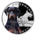 Tiere und Pflanzen 2023 - Niue 1 NZD Silver Coin Dog Breeds - Doberman - Proof