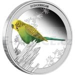 2013 - Australia 0,50 $ - Birds of Australia: Budgerigar 1/2oz Silver - Proof
