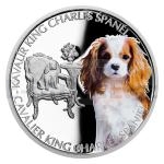 Tiere und Pflanzen 2023 - Niue 1 NZD Silver Coin Dog Breeds - Cavalier King Charles Spaniel - Proof