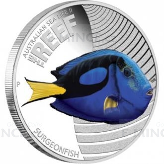 2012 - Australian Sea Life II - The Reef - Surgeonfish 1/2oz Silver Proof Coin
Click to view the picture detail.
