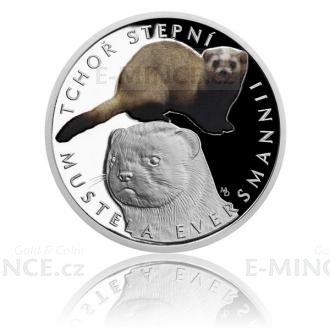2018 - Niue 1 NZD Silver Coin Steppe Polecat - Proof
Click to view the picture detail.
