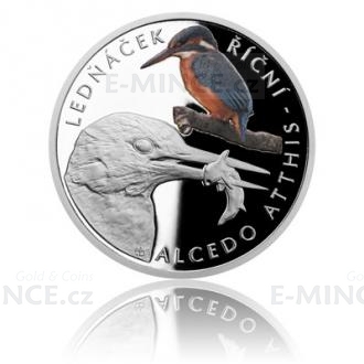 Silver coin River kingfisher - proof
Klicken Sie zur Detailabbildung.