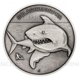 2020 - Niue 1 NZD Silver Coin Animal Champions - Shark - Standard
Click to view the picture detail.