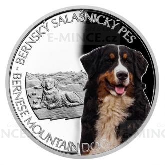2022 - Niue 1 NZD Silver Coin Dog Breeds - Bernese Mountain Dog - Proof
Click to view the picture detail.