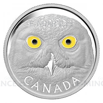 2014 - Canada 250 $ - Snowy Owl - Proof
Click to view the picture detail.