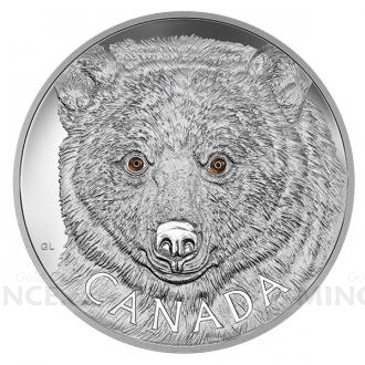2016 - Canada 250 $ In the Eyes of the Spirit Bear - Proof
Click to view the picture detail.
