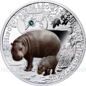 2016 - Niue 1 NZD Pygmy Hippopotamus - Proof
Click to view the picture detail.