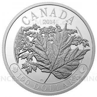 2014 - Canada 100 $ Majestic Maple Leaf - proof
Click to view the picture detail.