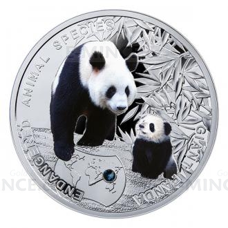 2014 - Niue 1 NZD - Giant Panda - Proof
Click to view the picture detail.